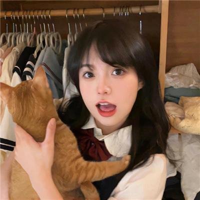 八十龟酱观察日记第三季