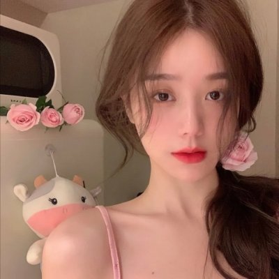 染霜何妨登岳岱