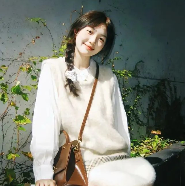 名侦探柯南：本厅的刑警恋爱故事～结婚前夜～